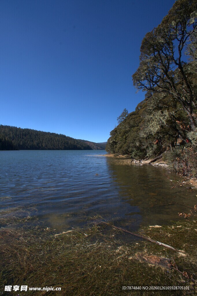 普达措森林公园
