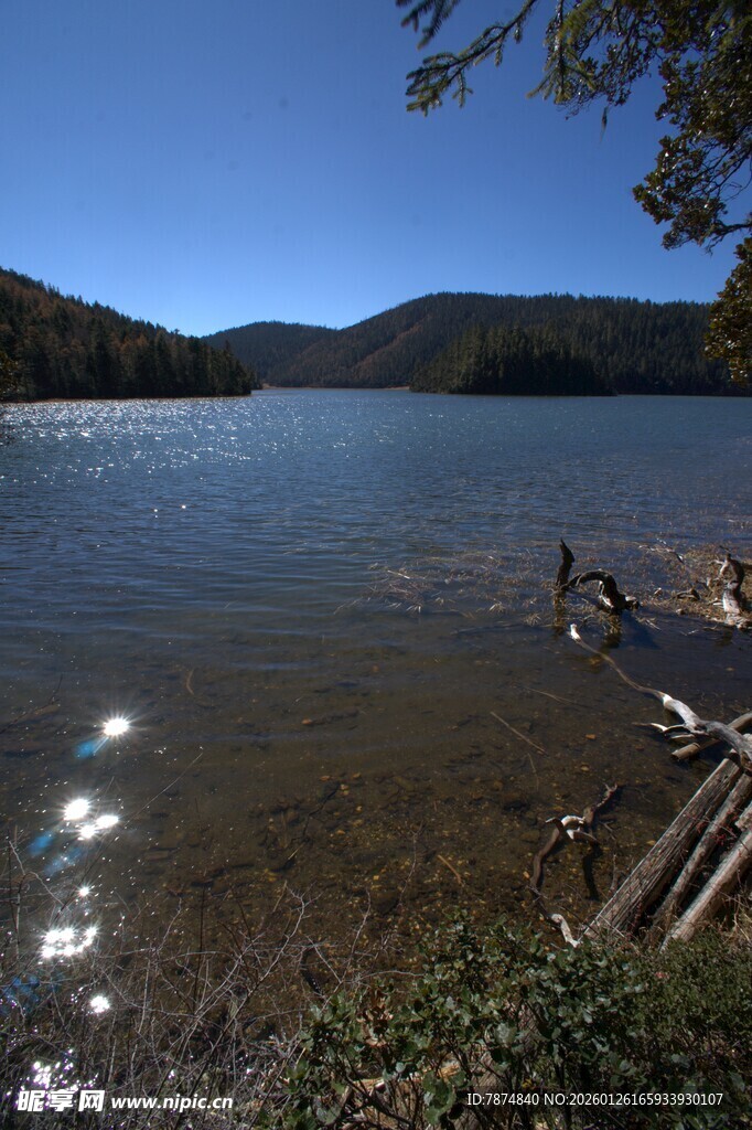 普达措森林公园