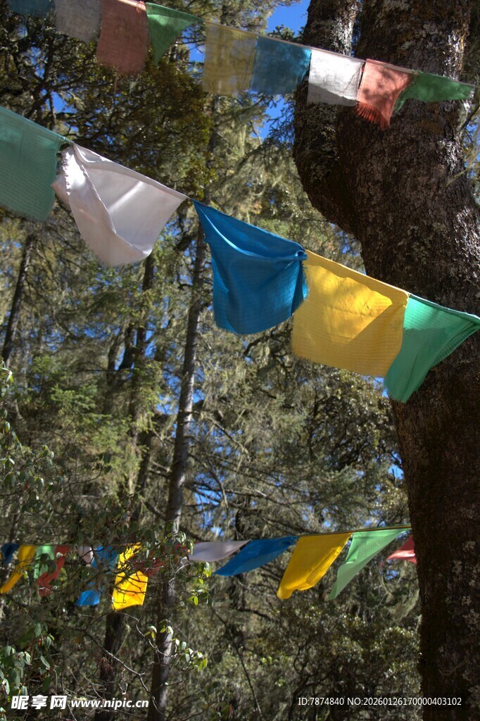 普达措森林公园