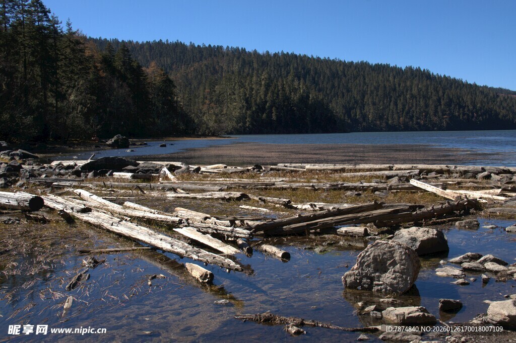 普达措森林公园