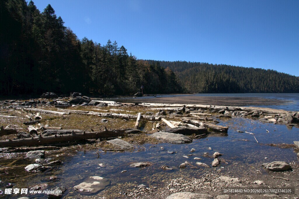 普达措森林公园