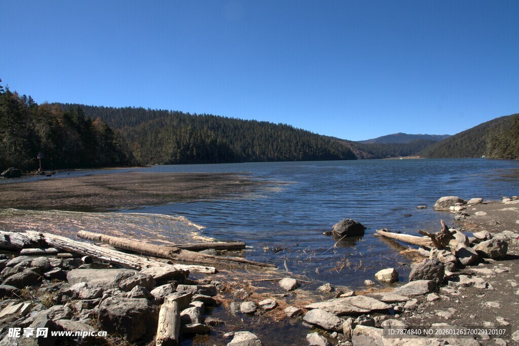 普达措森林公园