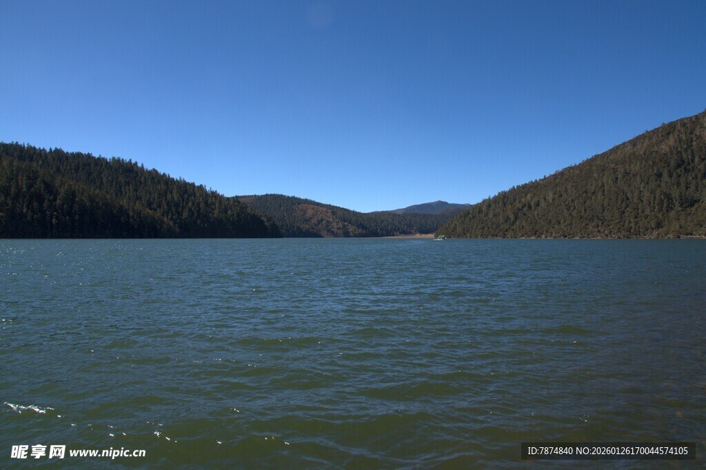 普达措森林公园