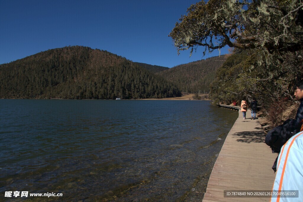普达措森林公园