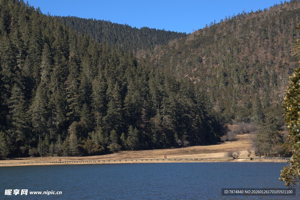 普达措森林公园