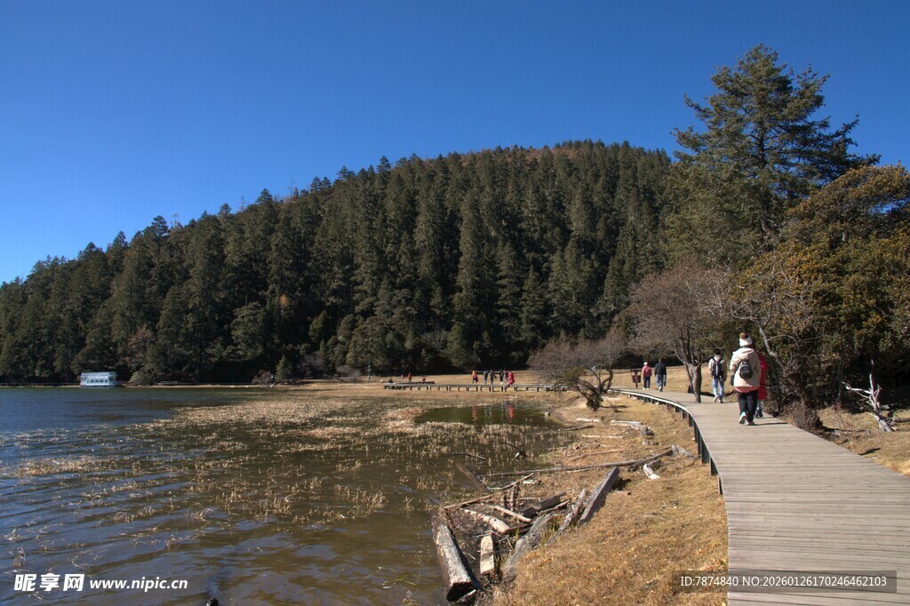 普达措森林公园