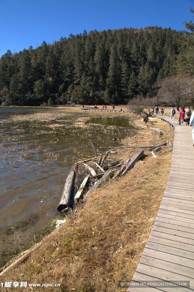 普达措森林公园