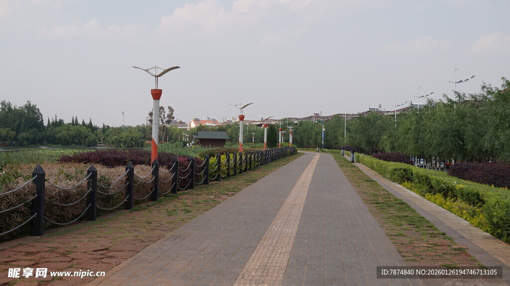 乡村笔直公路田园风光