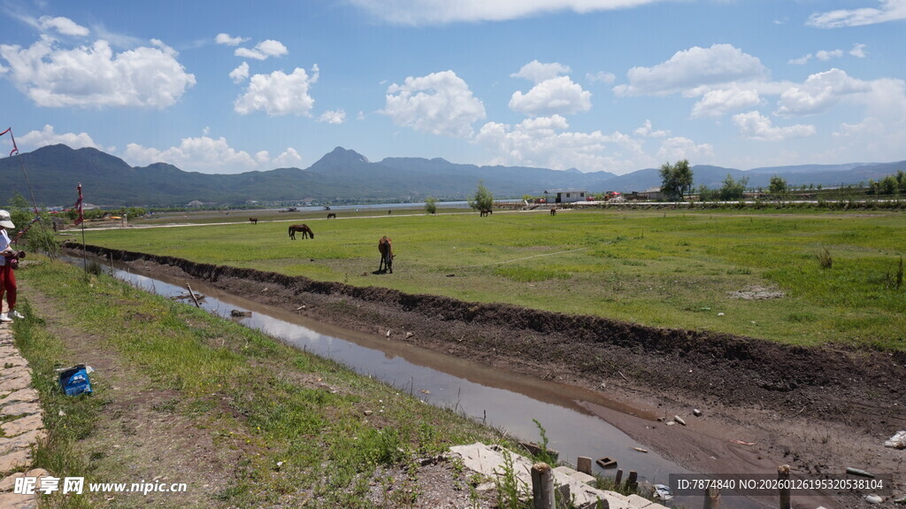 乡村田野间的自然风景