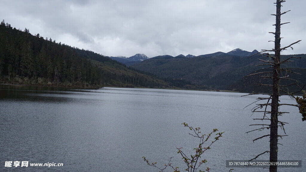 宁静湖畔的山林景致