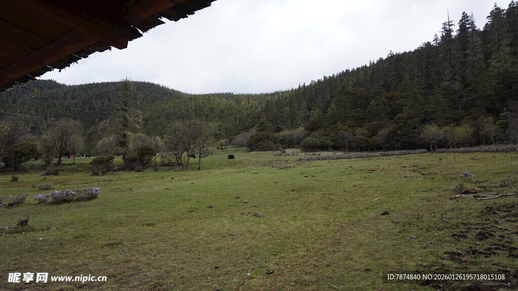 山间开阔草地风景