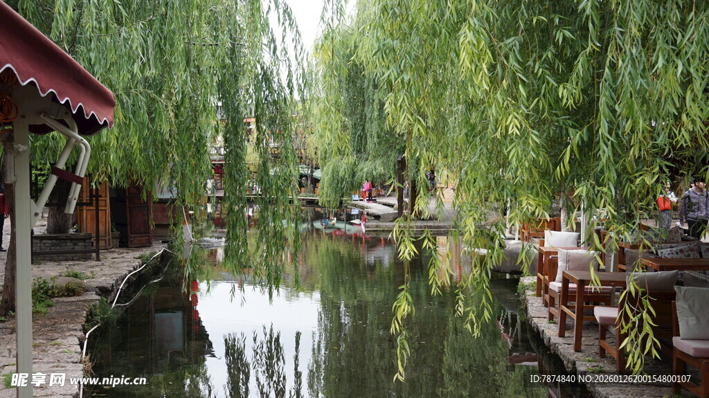 江南水乡河畔垂柳美景
