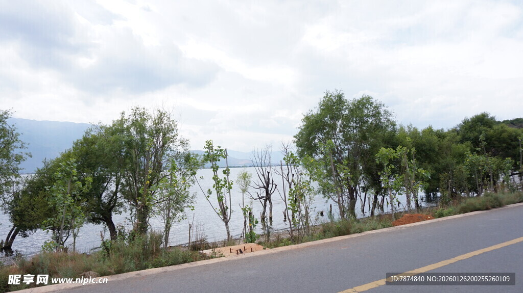 公路旁的湖景与绿树