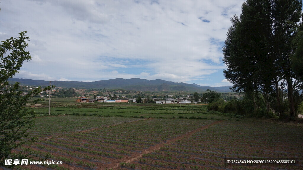 田园风光的开阔景致
