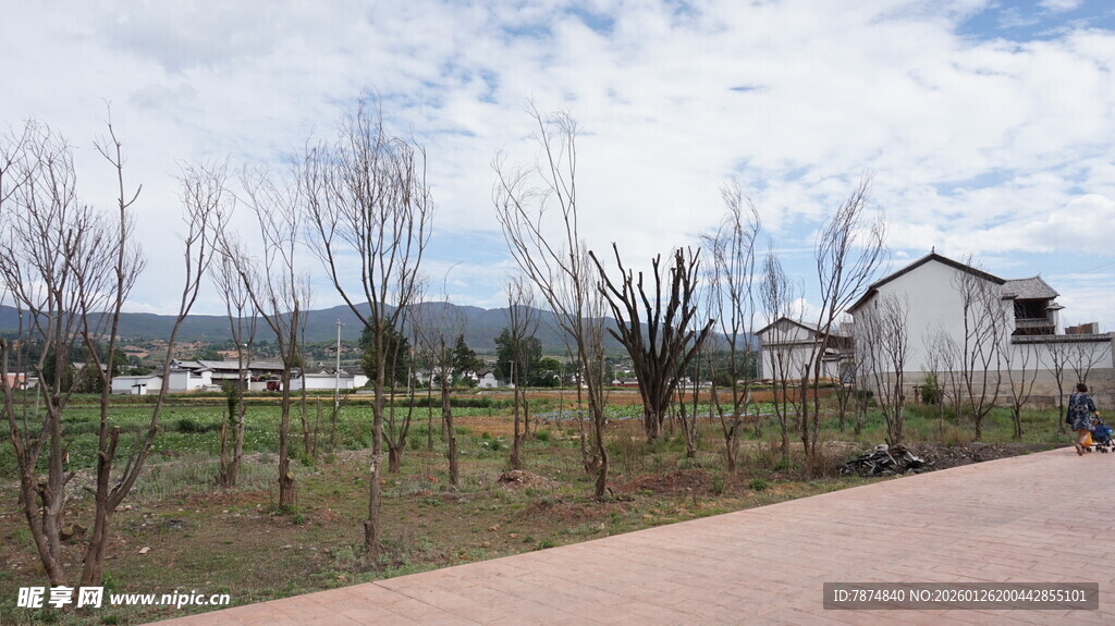 乡村田野旁的宁静道路