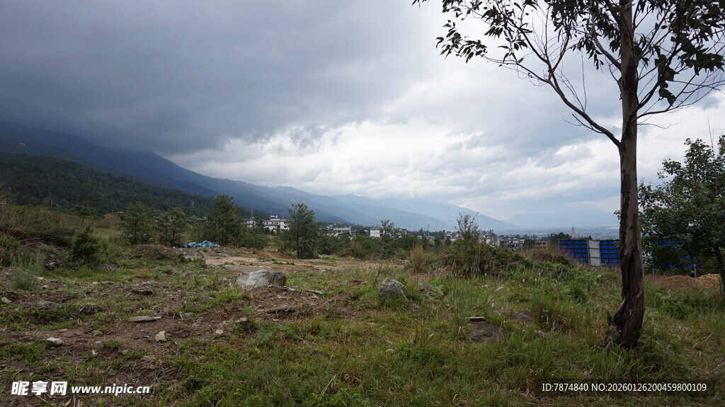 山间草地风景