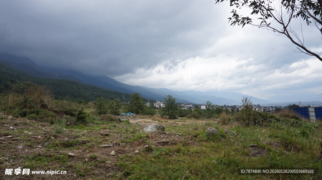 山间草地风景