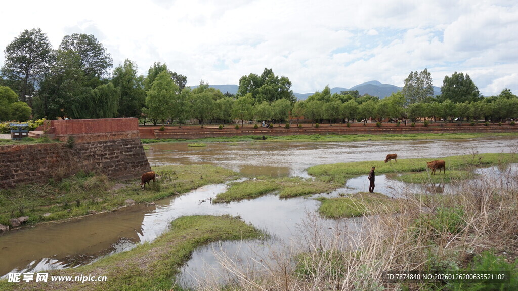 乡村湿地景观