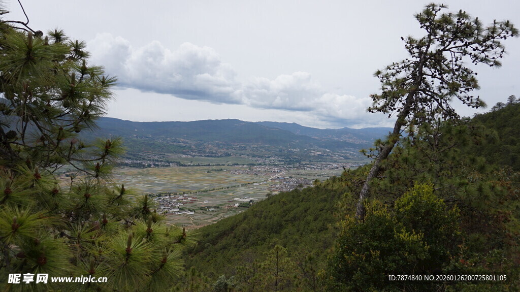 山间景致 葱郁植被与远景