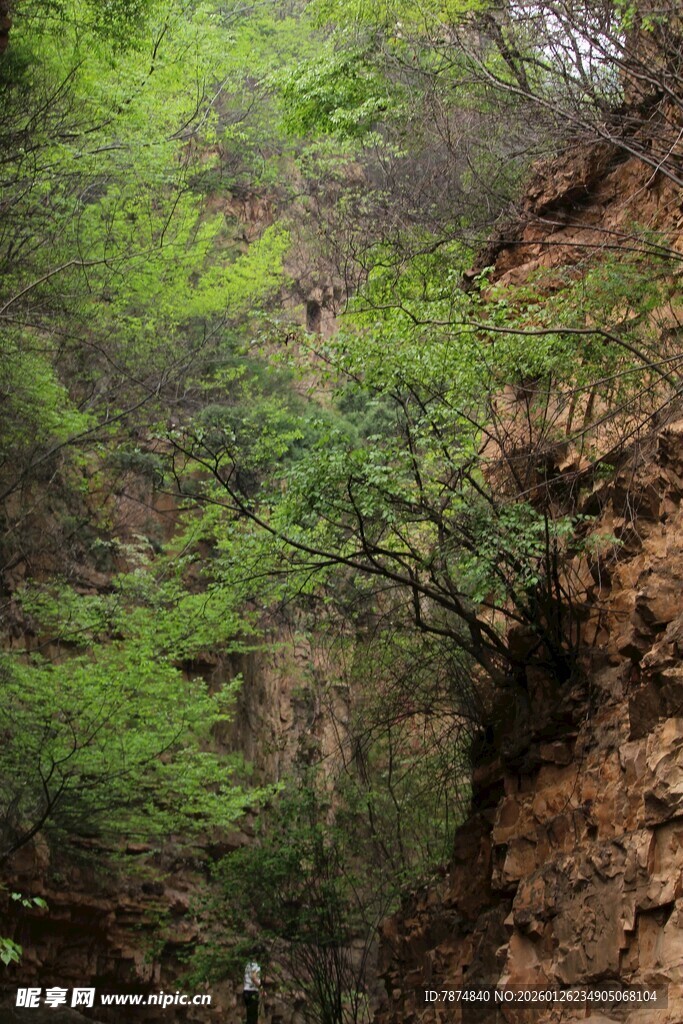 石林峡山间翠绿植被覆盖的陡坡
