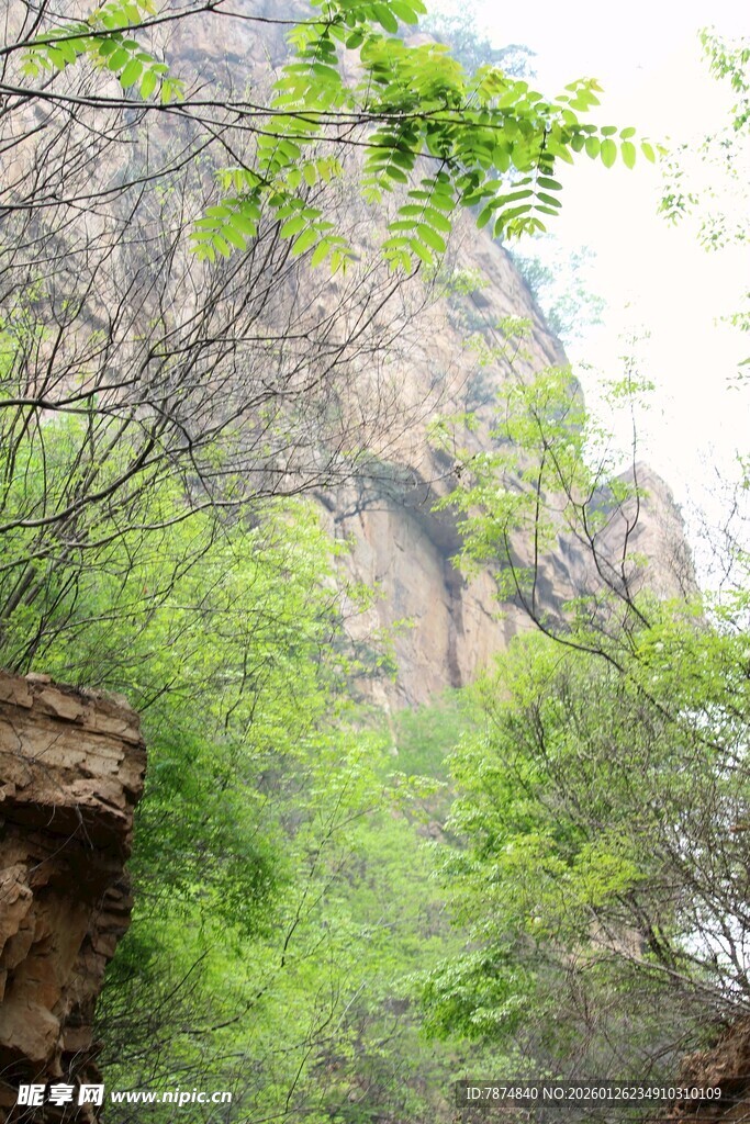 石林峡山林间的峭壁与葱郁植被