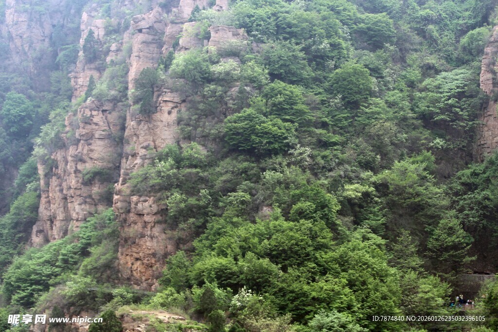 石林峡峻峭山峦覆盖繁茂植被