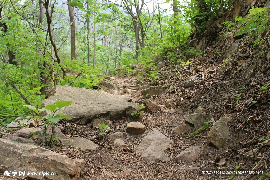 石林峡山间崎岖小径 绿意盎然