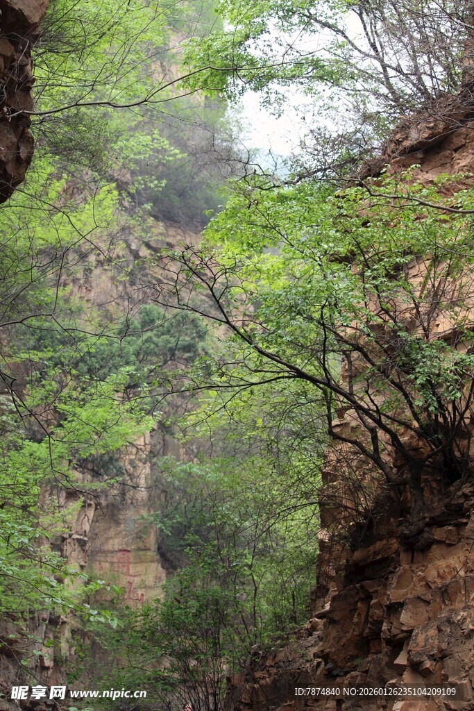 石林峡山间峡谷绿意盎然景色