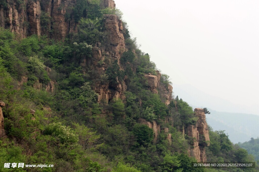 石林峡陡峭山壁上的葱郁植被