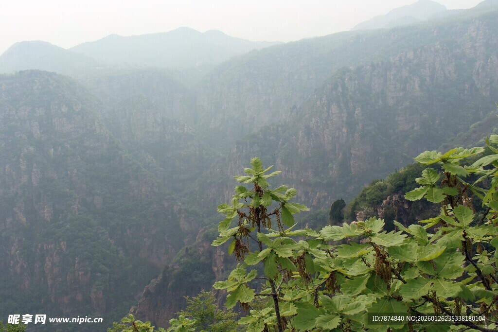 石林峡山间绿意盎然景色