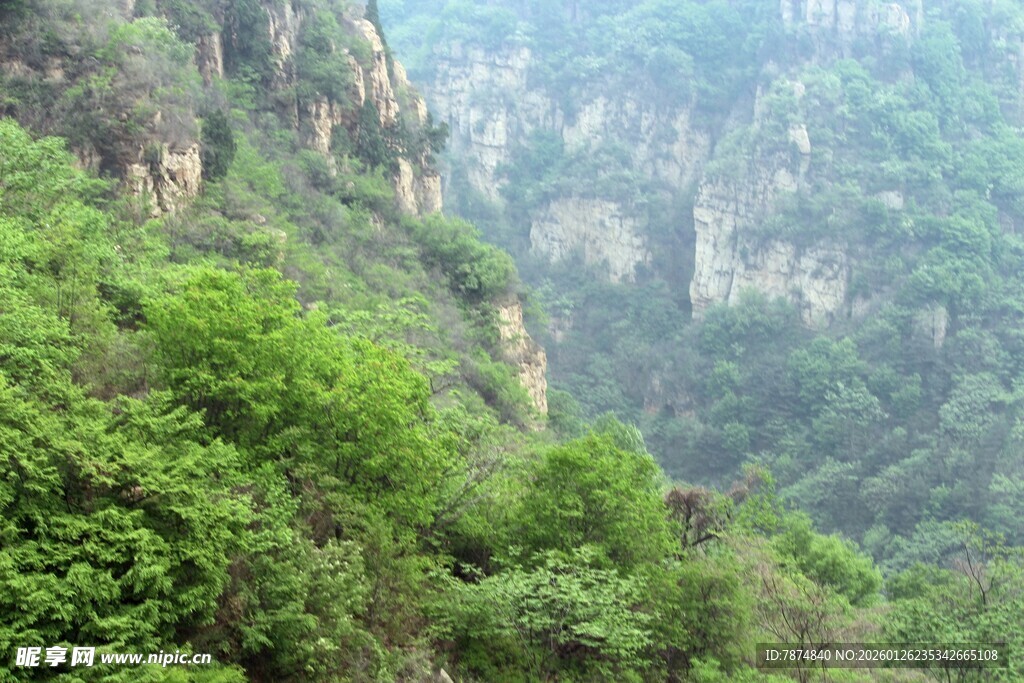 石林峡壮丽峡谷绿意盎然景观