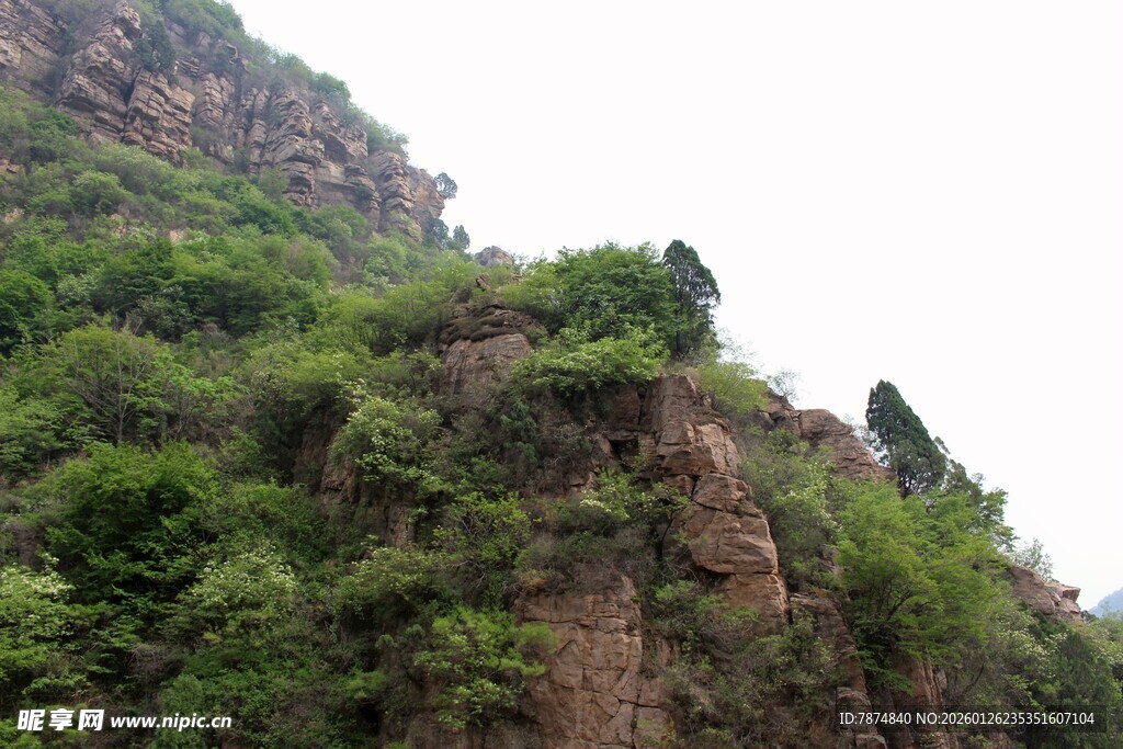 石林峡翠绿覆盖的陡峭山壁