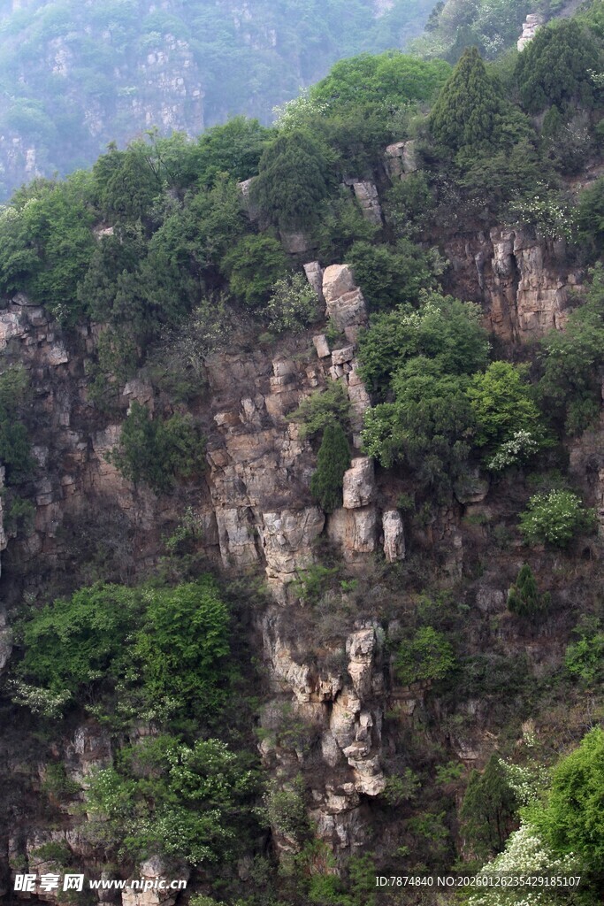 石林峡峻峭山峦覆绿植