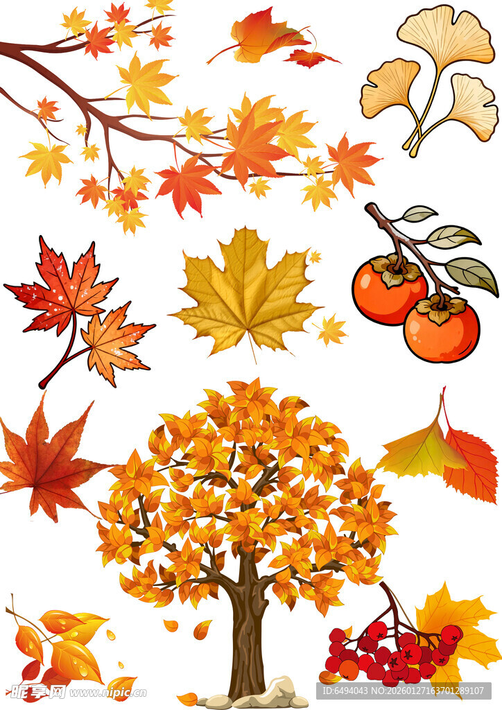 秋季树叶丰收果实装饰元素大合集