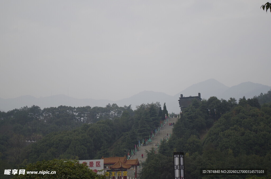 山间蜿蜒道路隐于绿树