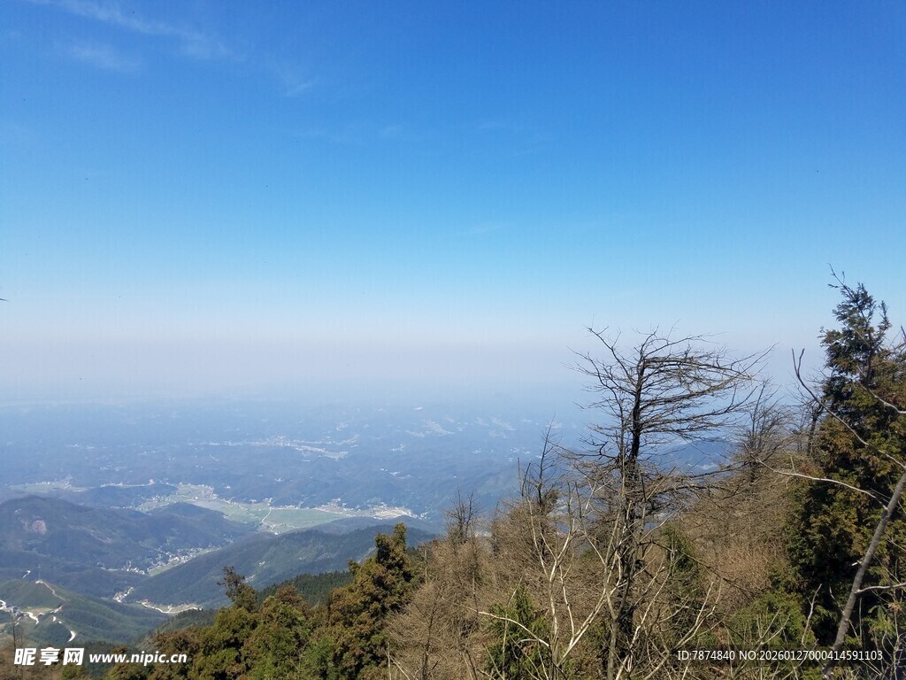 高山之巅的孤树与远景