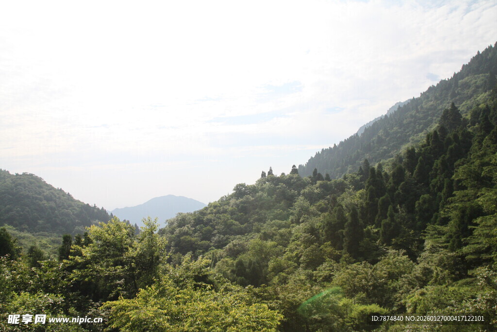 青山绿树间的秀丽山林景色