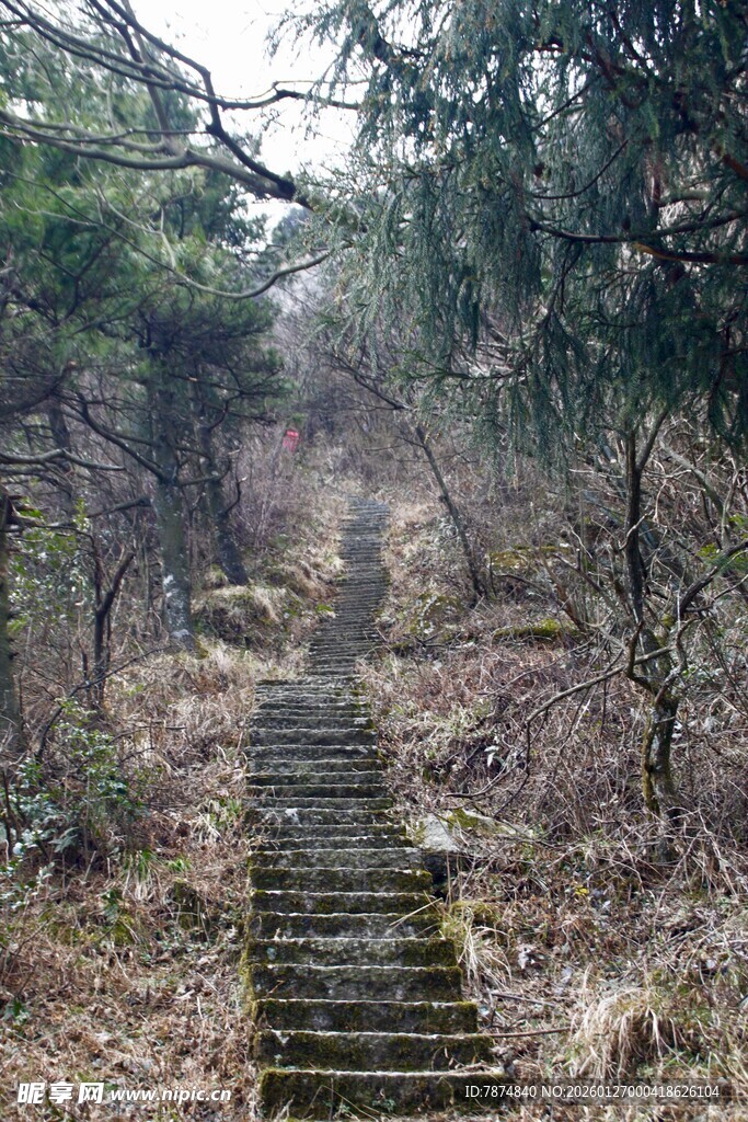 山间石阶小径 静谧清幽