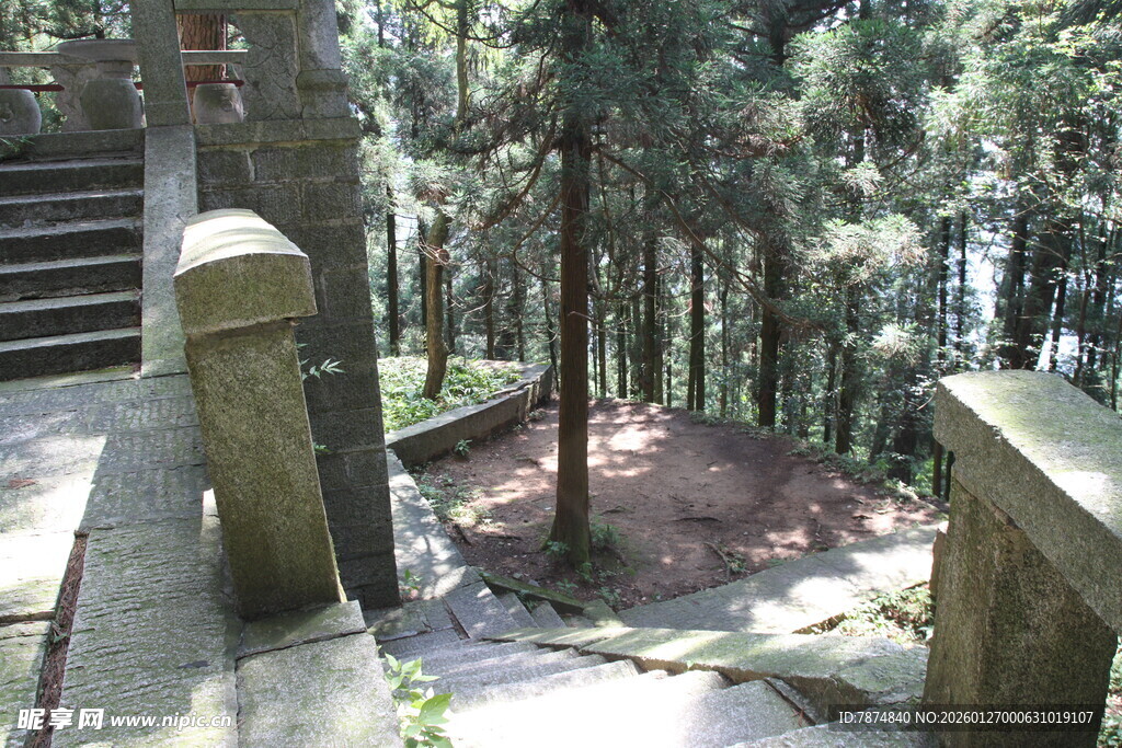 衡山林间石阶 静谧自然景致