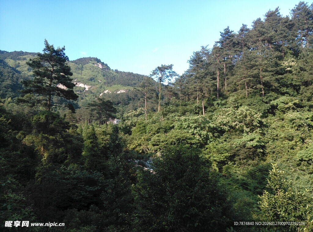 衡山山林葱郁的自然美景
