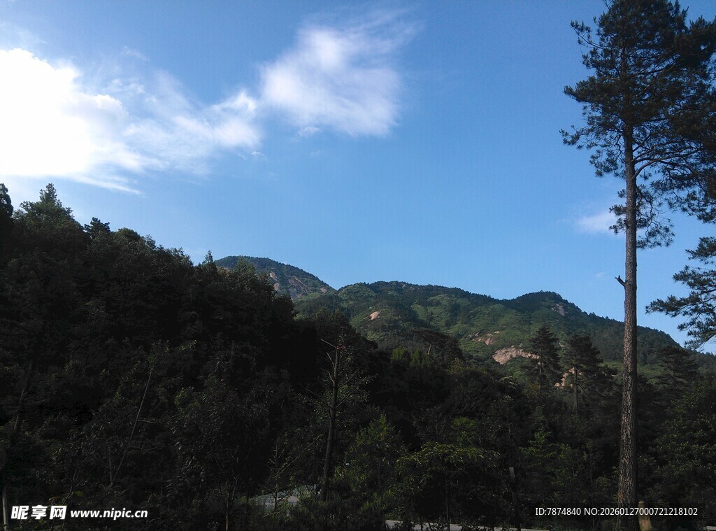 衡山青山蓝天间的挺拔树木