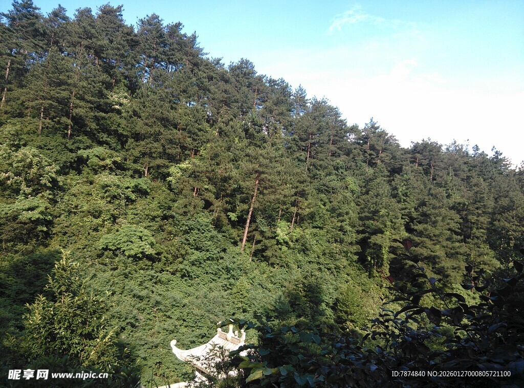 衡山山林茂密景观