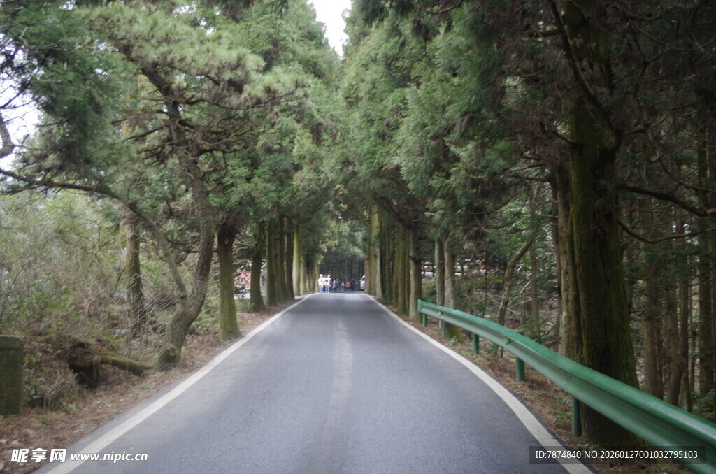 衡山林间公路 绿意盎然的旅程