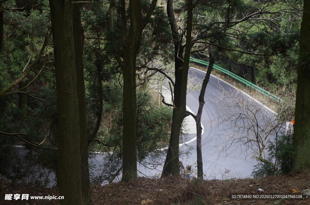 衡山林间蜿蜒公路美景