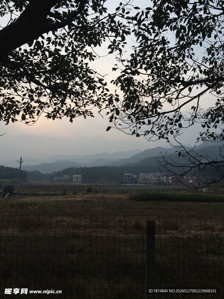 衡山黄昏下的田野与树木景观