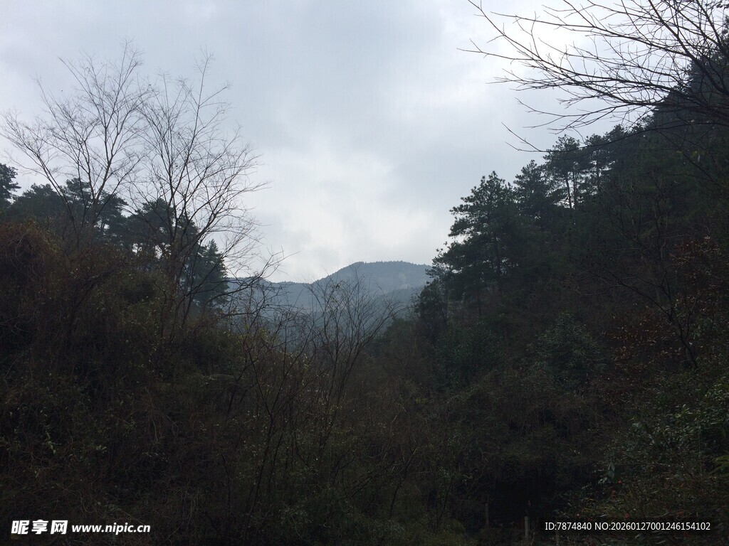 衡山山林景色 云雾缭绕的自然美