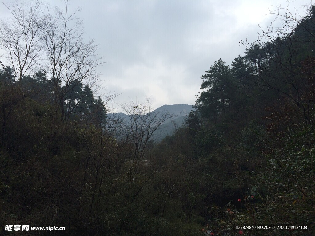 衡山山林景色 云雾缭绕的自然