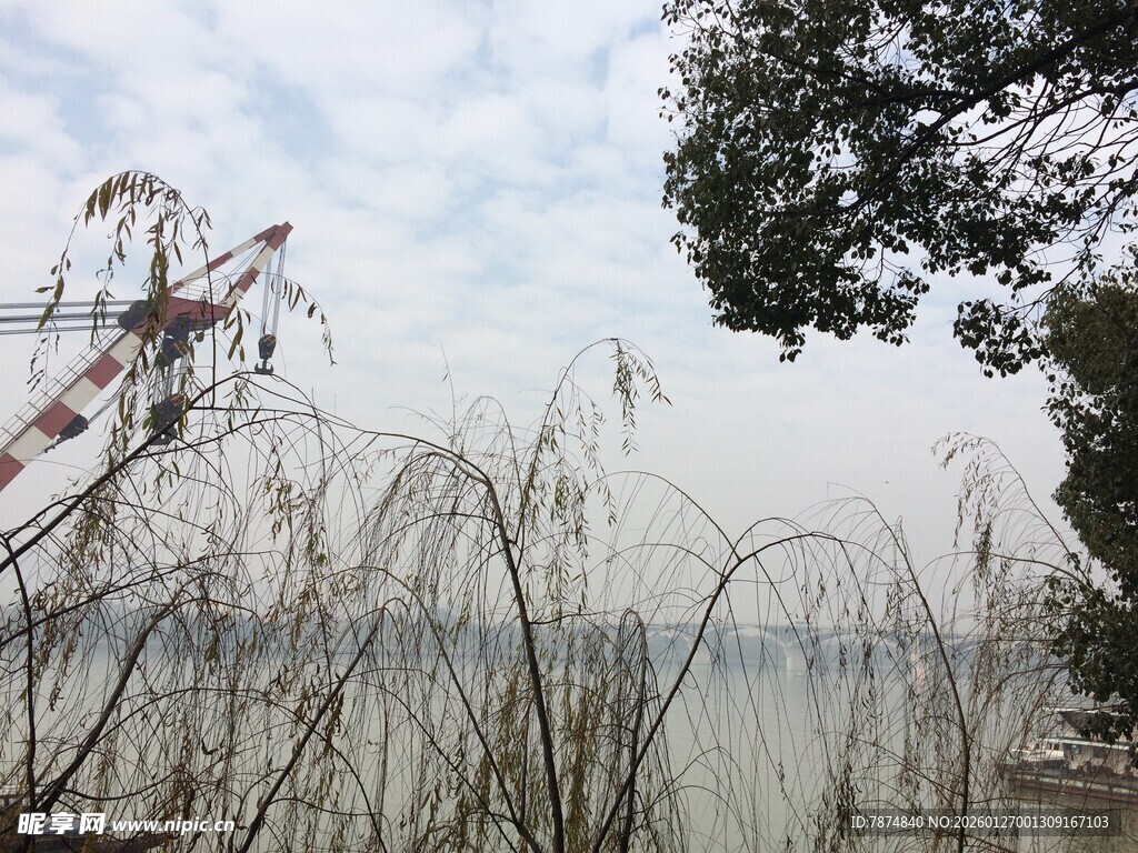 衡山湖畔芦苇与树木的景致
