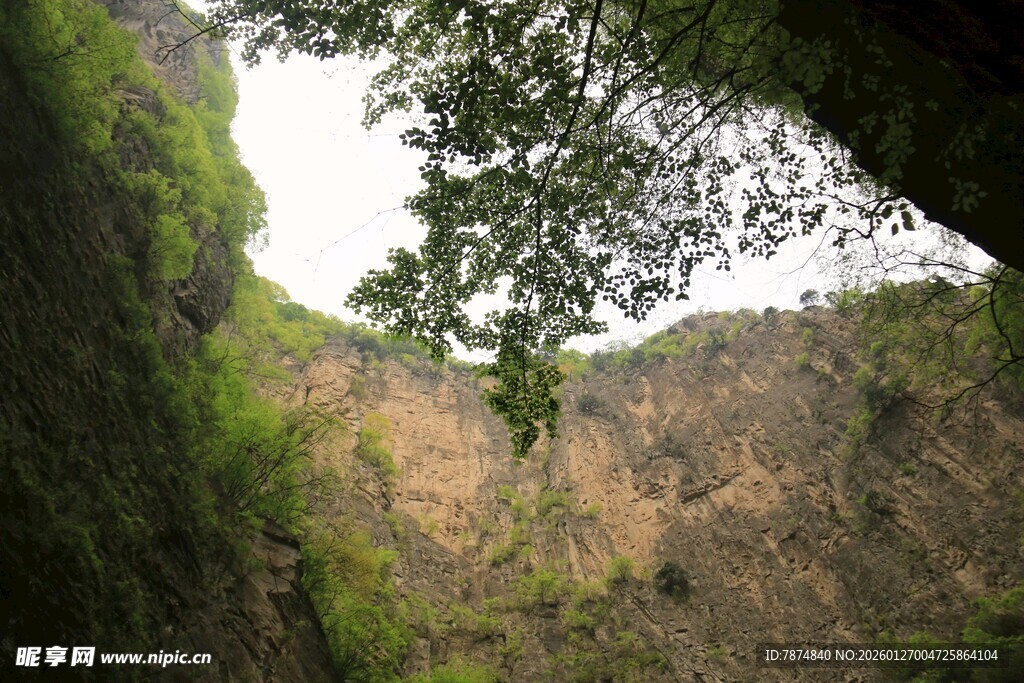 峡谷间绿意盎然的自然景致
