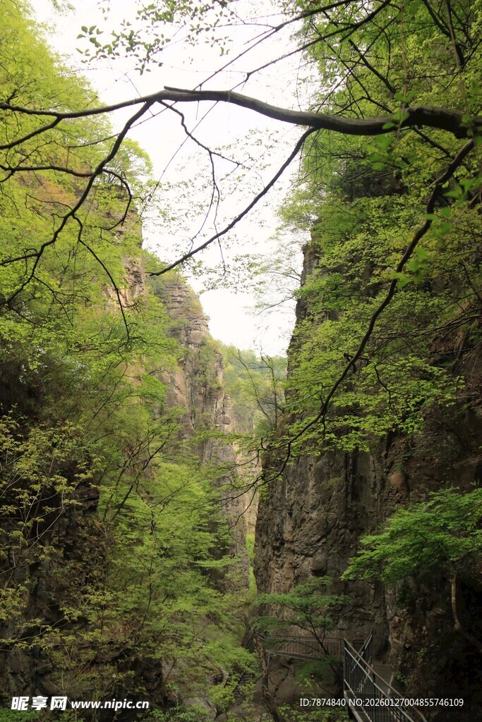 山间绿意盎然的峡谷景色